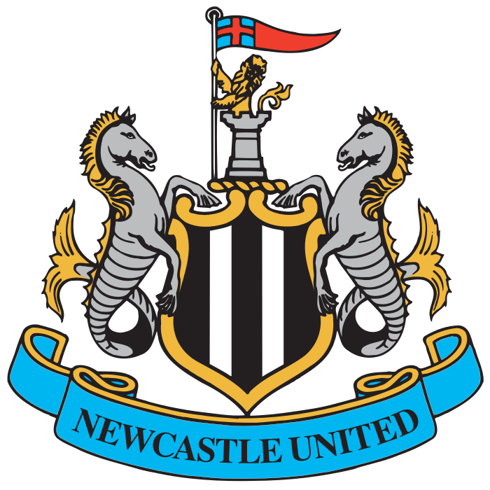 Maglie Newcastle Personalizzate