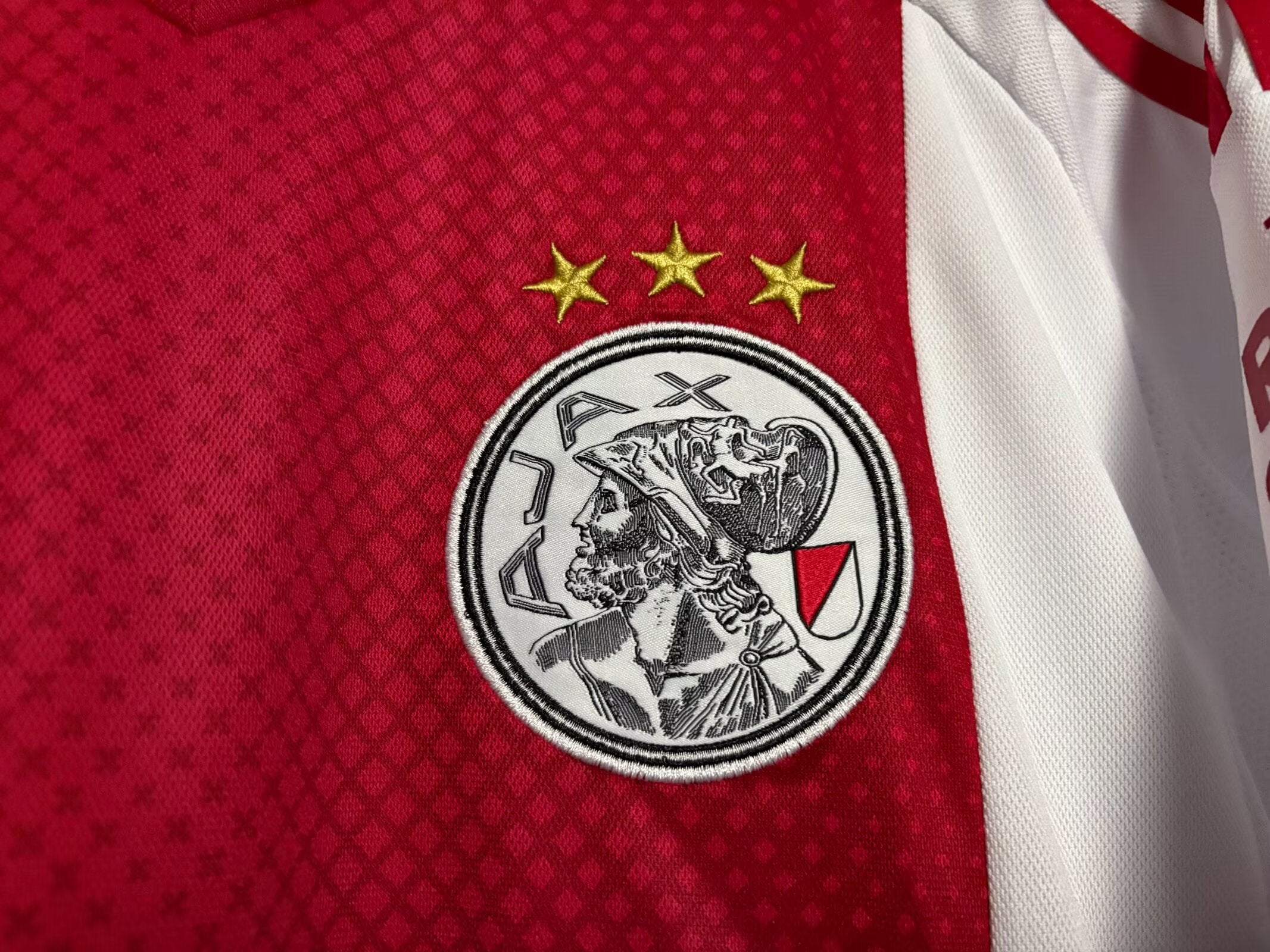 2526 Ajax's Home