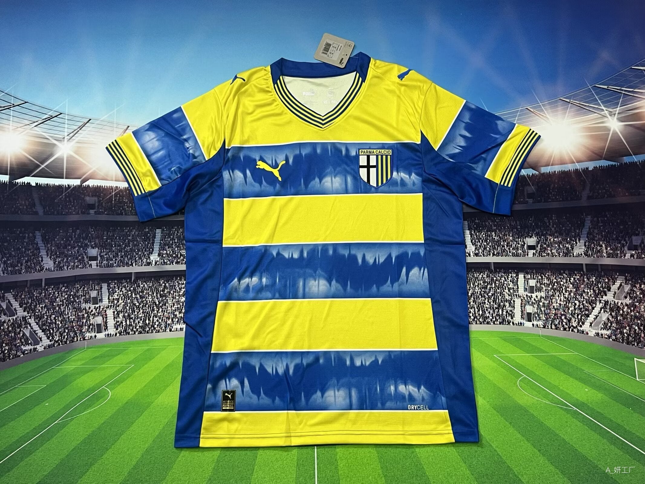 2526 Parma Away Game