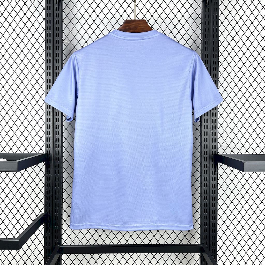 Brazil 202526 Light Purple Jersey