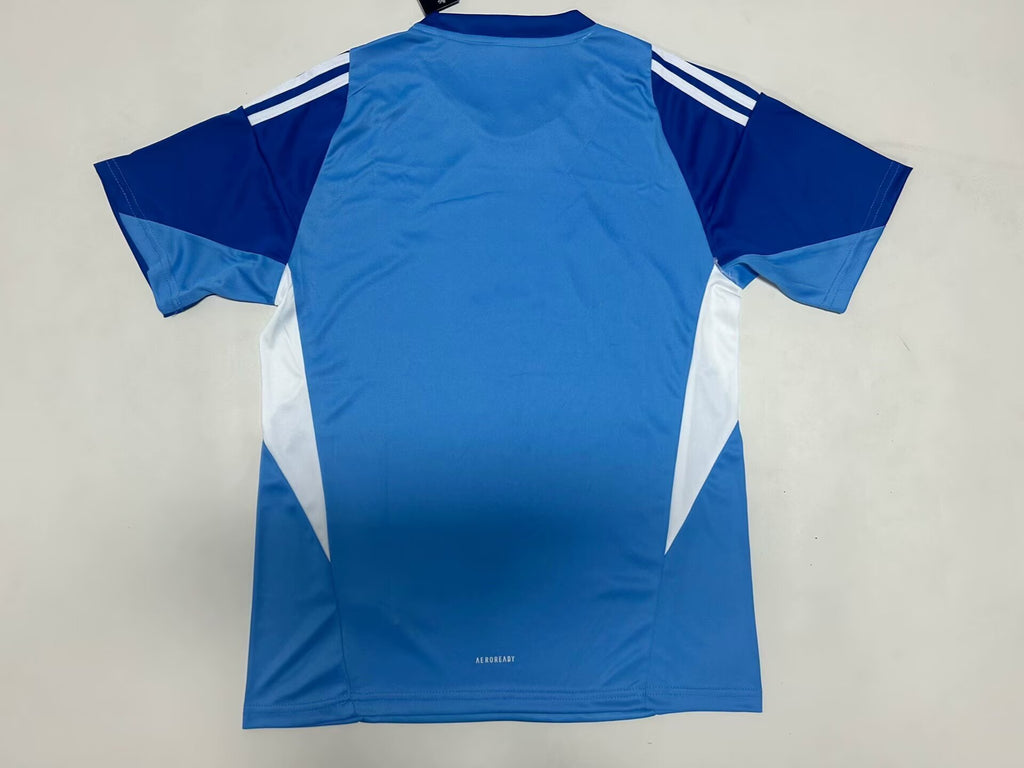 Juventus 2526 Goalkeeper