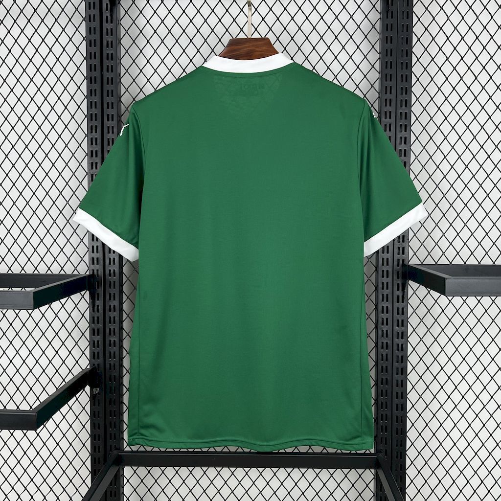Palmeiras 202526 Home Jersey (Copia) - Dettaglio 1