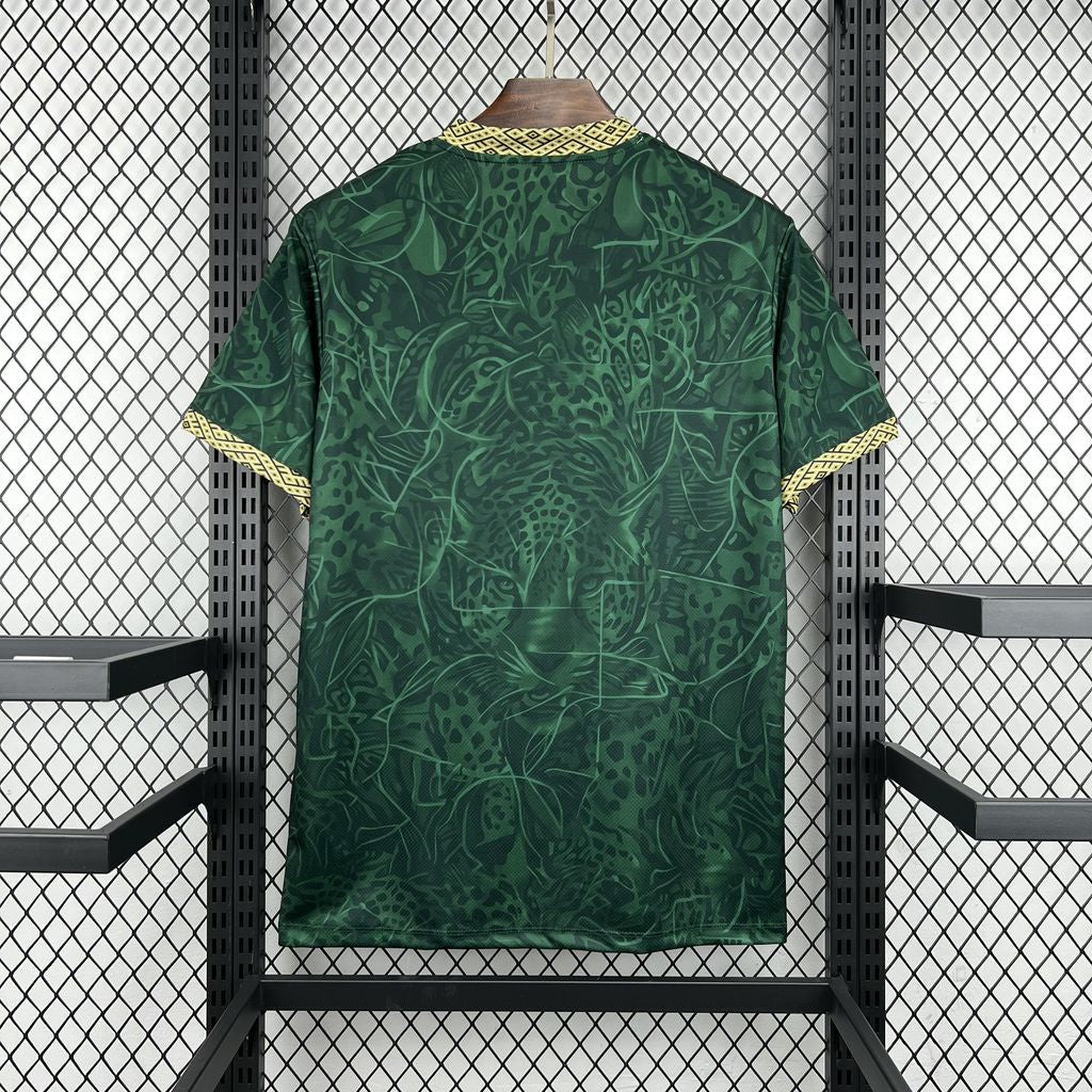 Brazil 202627 Special Edition Jersey